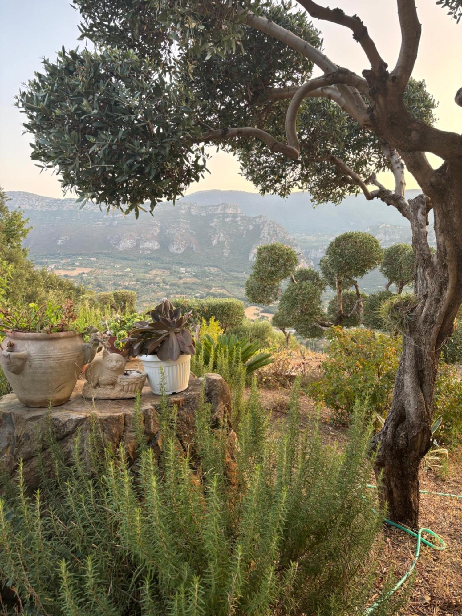B&B Casa Martina Giungano Dış mekan fotoğraf