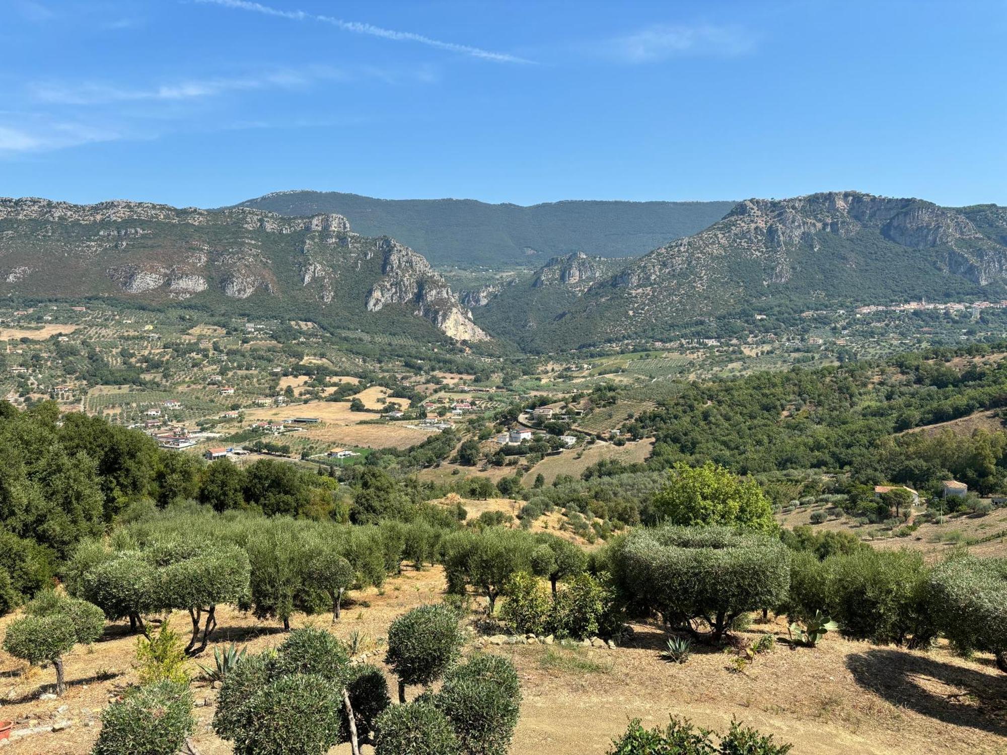 B&B Casa Martina Giungano Dış mekan fotoğraf