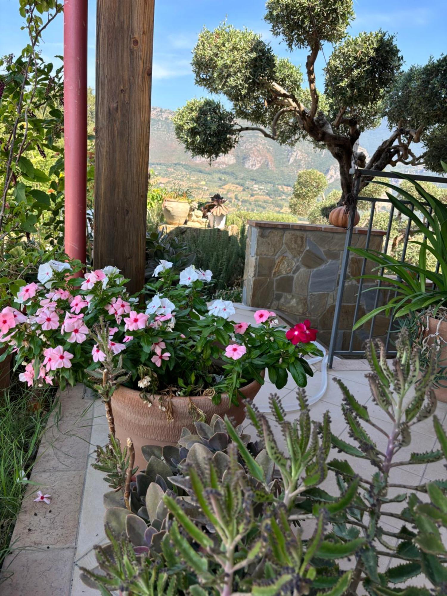 B&B Casa Martina Giungano Dış mekan fotoğraf