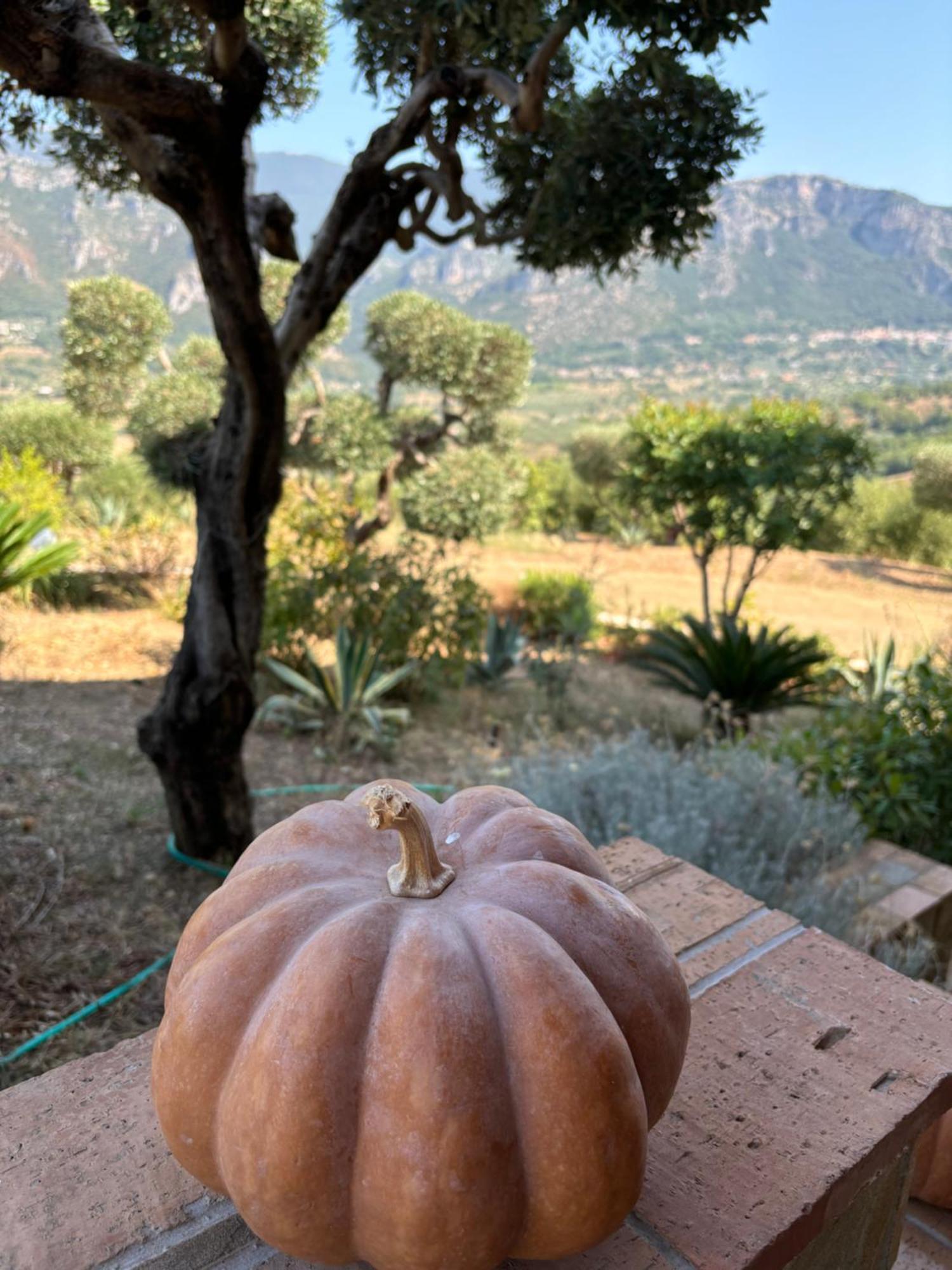 B&B Casa Martina Giungano Dış mekan fotoğraf